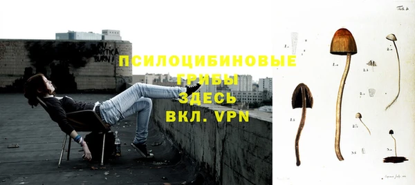 молекула духа Алексин