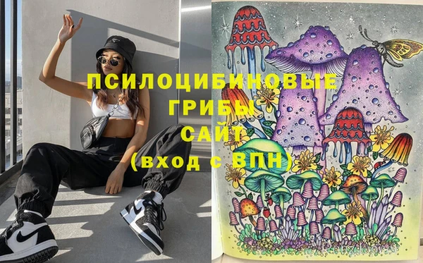 Альфа ПВП Алзамай