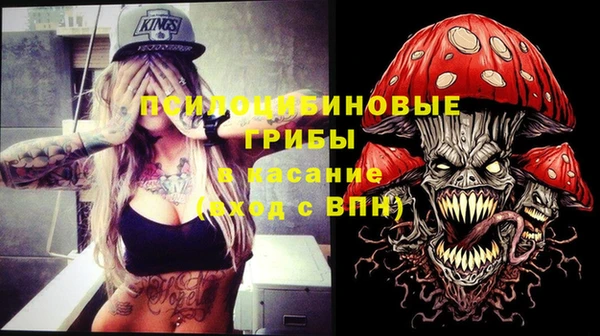 Альфа ПВП Алзамай