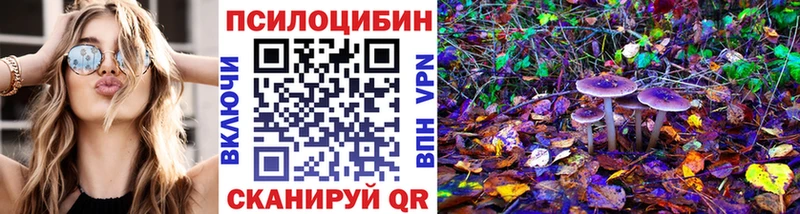Купить закладки  Воркута  Галлюциногенные грибы мицелий 
